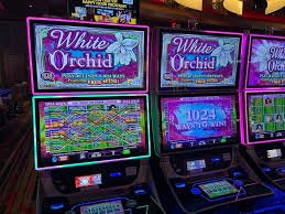 good4d Speed Blackjack good4d untuk Malaysia